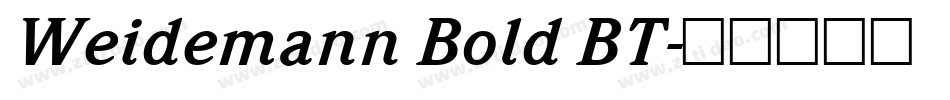 Weidemann Bold BT字体转换